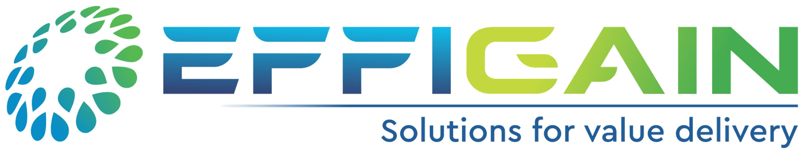 Effigain Technologies — Solutions for value delivery